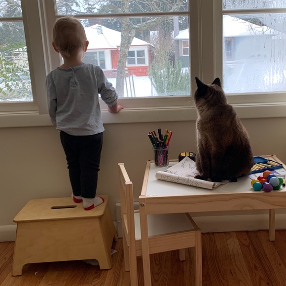 Meet your Posher, Caroline - Picture 1 of 1